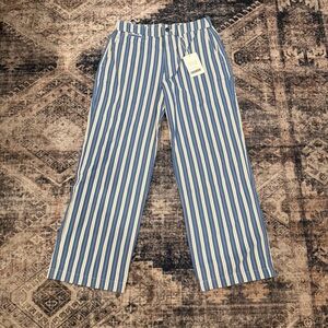 NWT Everlane Blue and White Striped Women's Chinos